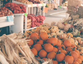 Holiday Farmer's Market