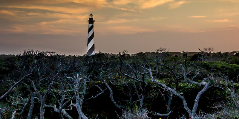 Black and white lighthouse in the background of brambles and brush.