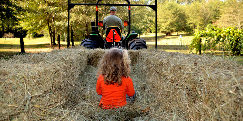 Take a Hayride at Grandy Greenhouse