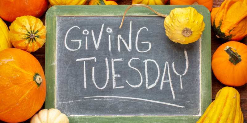 Chalkboard with "Giving Tuesday" against pumpkin background.