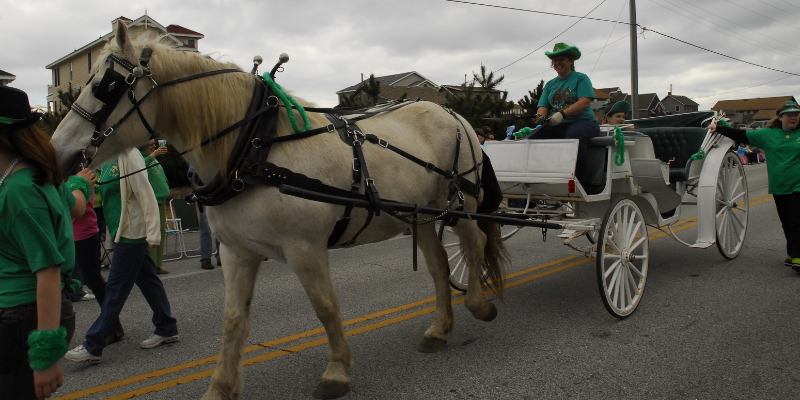 St. Patrick's Day Parade Horse and Carriage