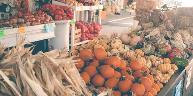 Holiday Farmer's Market