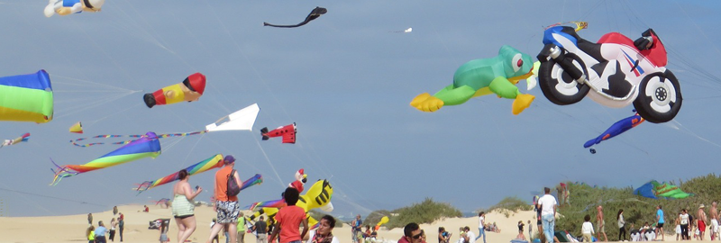 Kite Festival 