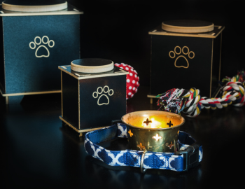 Pet Cremation Services