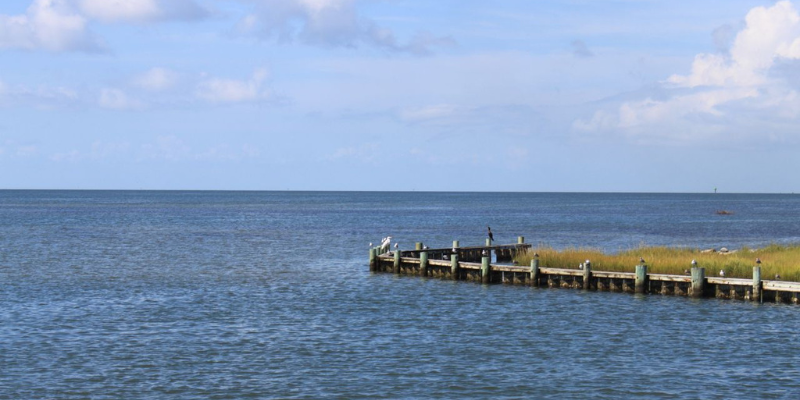 Ocracoke Springer's Point Preserve